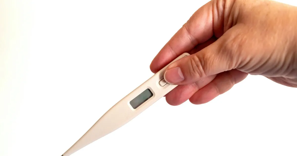 A hand holding a digital thermometer against a white background
