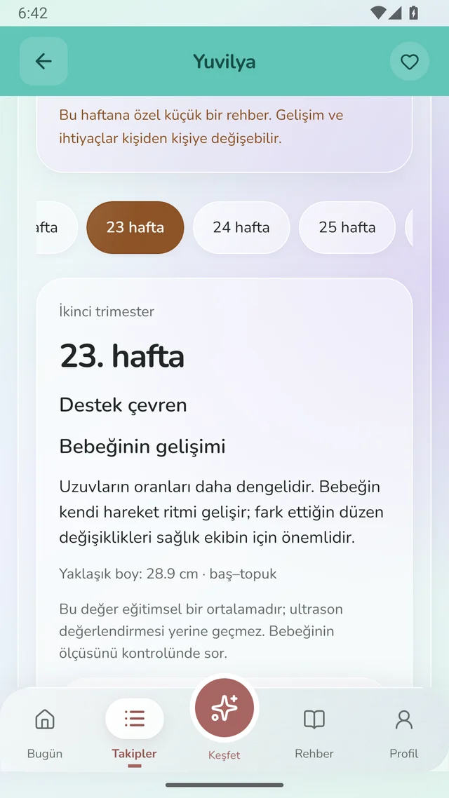 Yuvilya gebelik ekranı